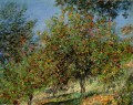 Apfelbäume auf dem Chantemesle Hill Claude Monet